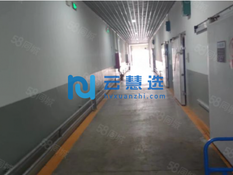 东丽津塘路1300平米仓库出租