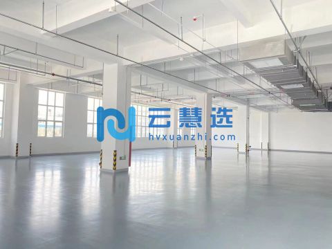 西青经济技术开发区5000平米厂房出租 出售 可分租