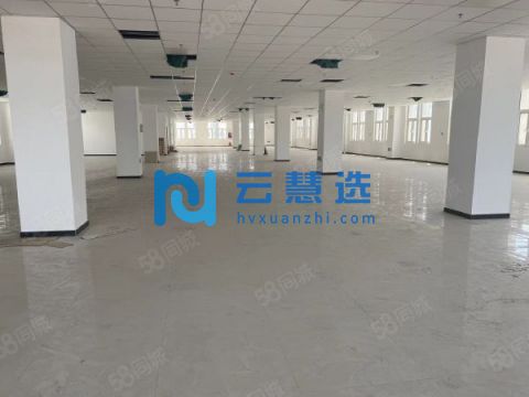 津南1000平米独栋厂房出租  园区空地大