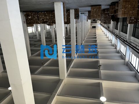 滨海新区6000平米标准厂房出租 租金面议