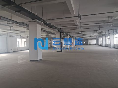 西青大寺单层厂房3000平可分租   正规厂房