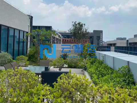 东丽空港高品质生产制造产业园 7.5米层高 赠送露台和花园