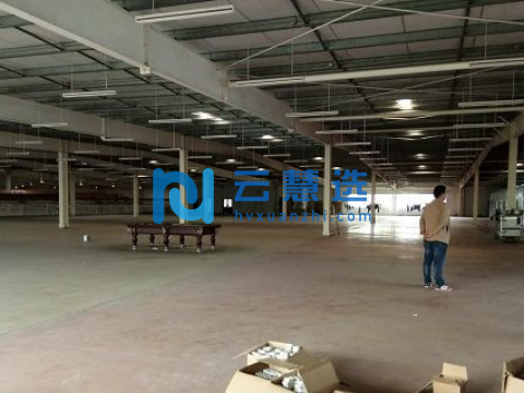 东丽空港6000㎡厂房出租丨可分租