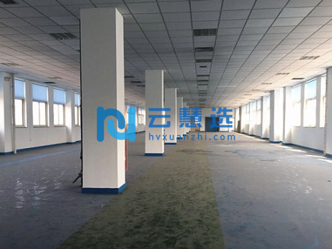 东丽空港6000㎡厂房出租丨可办公
