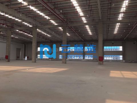 东丽开发区5万平米丙二高台仓库，带喷淋