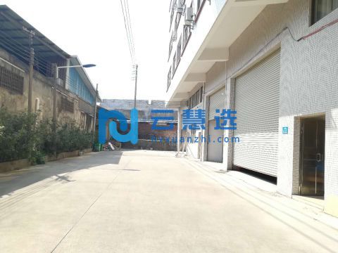 广州番禺钟村标准厂房仓库出租 非中介 独院管理 层高7米