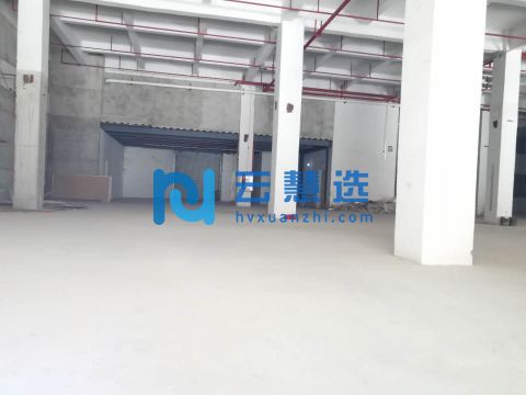 广东广州番禺区钟村814方展厅仓库全明亮大货车可直接入室