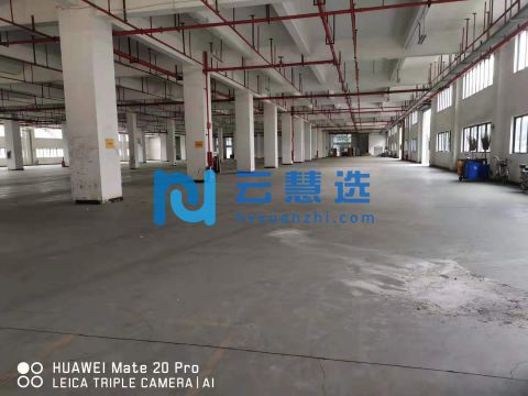 科学城框架结构仓库出租  适合各行各业