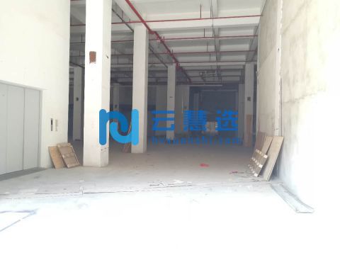 广东广州番禺区锦博物业直租 层高7.5米 1639方 独院管理