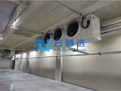 广东托管冷库 领鲜冷链 500方起租 总面积40000方