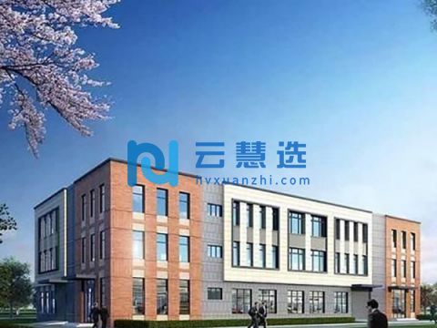 双凤标准框架厂房出售