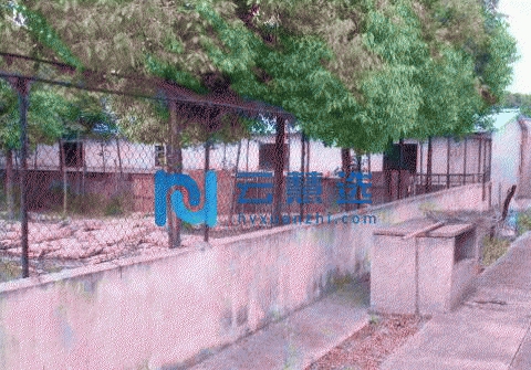 有迪斯尼旁的鳄鱼养殖场占地25亩出售