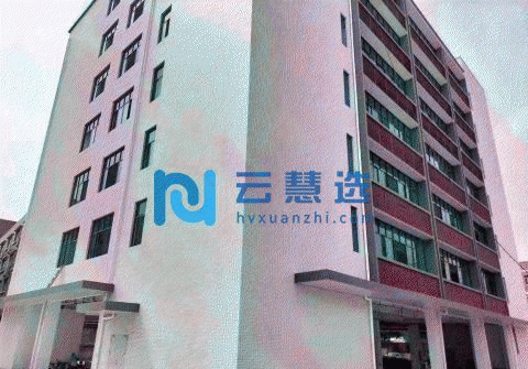 花东镇金田工业区新出标准厂房7800平可分租带消防喷淋