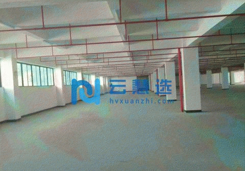 广州开发区萝岗科学城20000平米全新标准厂房出租