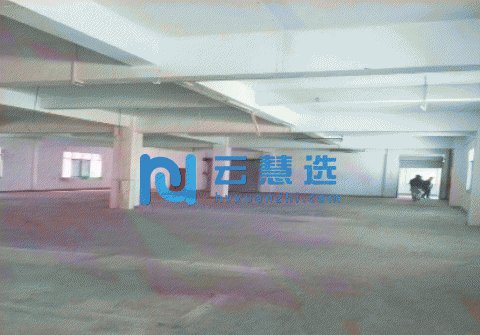 白云竹料4800平米厂房出租丨可分租