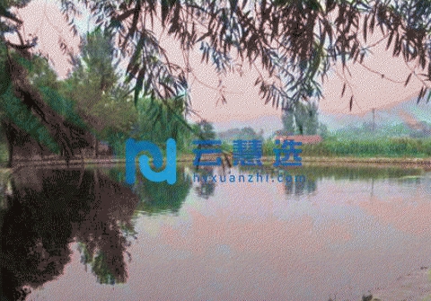 南部山区垂钓鱼塘出租