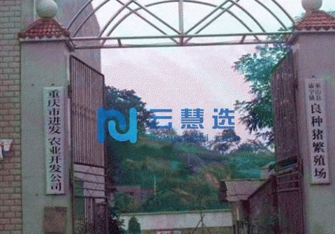 大面积厂房出租出售