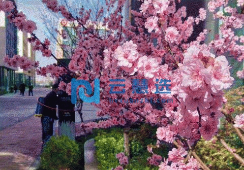 郑州经开区500-3000平现房独栋 租售均可 可分割