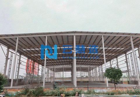 新津1000平米单层厂房起售 层高12米 临高铁