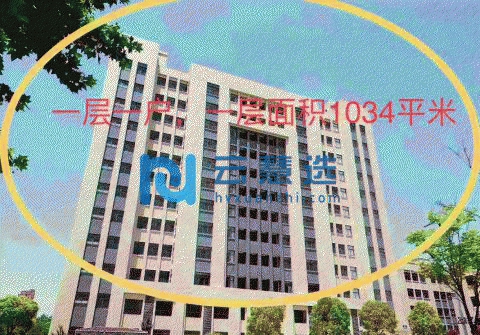 合肥瑶海区1034平米厂房出售 配电大 配套齐全 政府扶持 面积灵活