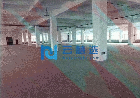 津南双港7000平米优质厂房出租