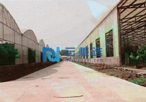 大兴105亩果园库房出租转让