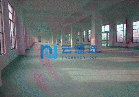 出租 龙海 九湖工业区宝发6400平米框架