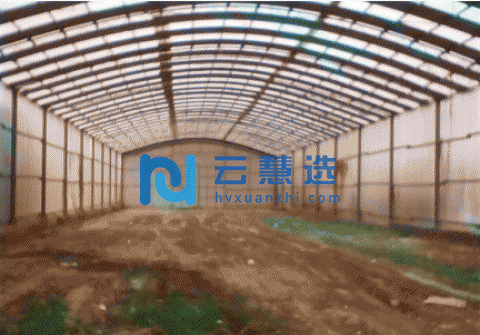 龙湖镇低价出租1000平方米的厂房