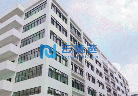 万江智盈科技园全新高标厂房出租 环境好