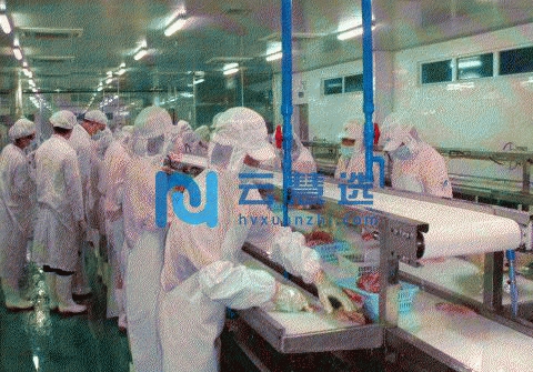 出租水产加工厂和冷库