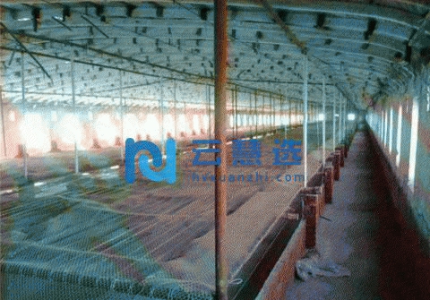 厂房地皮出售！