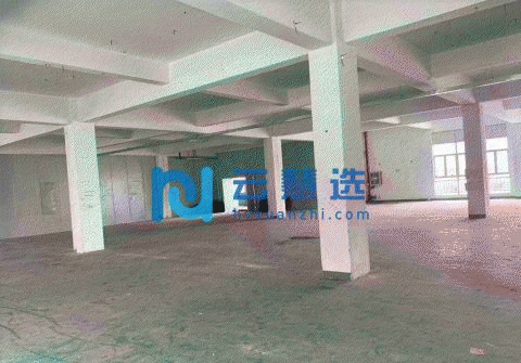 松江新桥独门独院独栋940平厂房出租 4.5米高 有货梯 近轻轨