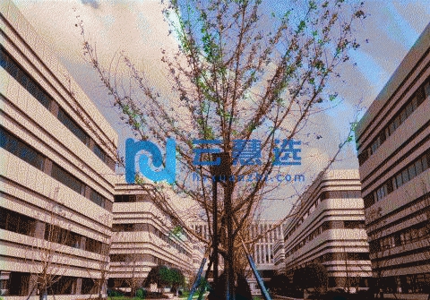 天府大道独栋厂房1100平起售 联东品质50年产权 赠送花园