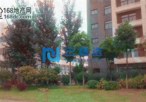 武汉开发区海关旁700m2独栋钢构厂房