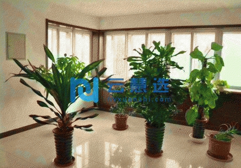 出租开发区3000平米厂房