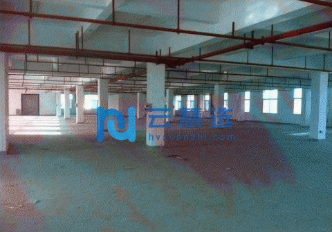 鲤城区常泰路3000平米仓库出租