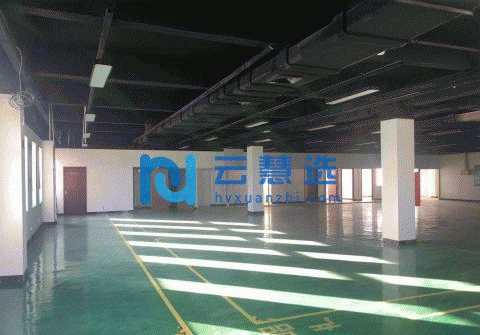 分层260平至整栋2800平厂房研发楼租售可环评生产