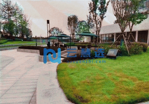 正定自贸区生产研发办公楼出售 面积灵活 房租补贴 政府扶持