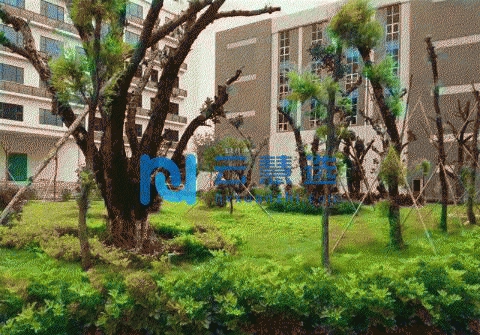 花都空港经济区15000平米厂房出租，喷淋消防，可办环评