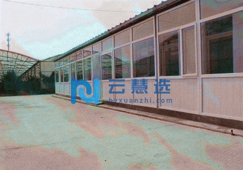 大兴105亩果园库房出租转让