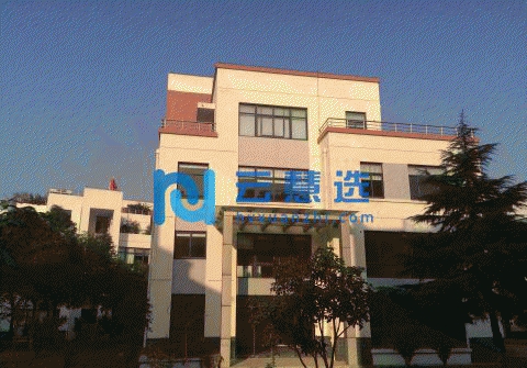 松江新桥园区独栋474平厂房出售 层高6米 104地块