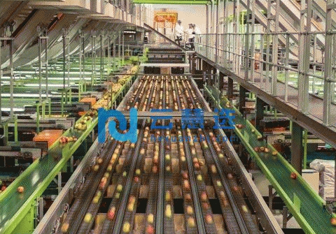 枣庄滕州市1200平米厂房出售，排水排污方便