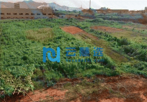 【第二次拍卖】宣国有土地40亩及地上建筑物