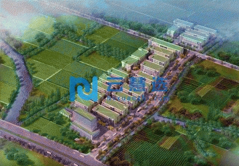 浙江长三角生命健康产业园 平湖厂房 50年产权 首层11米层高 可办环评