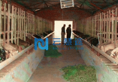 荣县简阳大耳羊种羊场转让