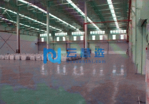 天津港保税区2000平米保税仓库出租，可提供报关报检服务