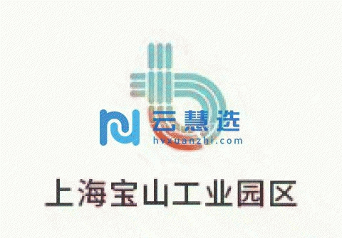 上海宝山30000平米厂房出租 可环评 可注册 研发生产