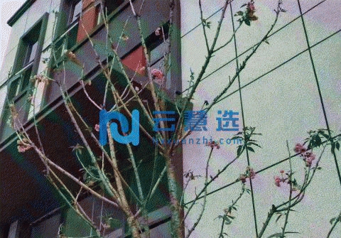 五象新区 独栋 工业土地 50年产权 花园式办公