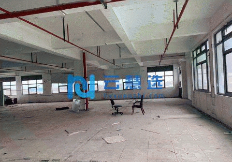 上海松江车墩独栋高层5楼990平厂房出租 层高3.6米 免租2月