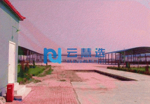 河北省廊坊市文安县东都新兴产业园厂区出租